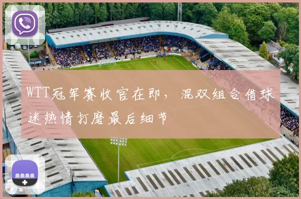 WTT冠军赛收官在即，混双组合借球迷热情打磨最后细节
